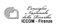 Logo ICCOM
