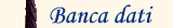 Accesso alla banca dati