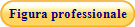 Figura professionale